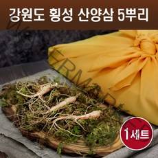 야생 산양삼 5뿌리 자연산 장뇌삼 산양산삼 5-6년근 강원도 횡성 장뇌산삼 생삼 뿌리삼 효능 먹는법 사포닌 진세노사이드 선물 세트, 1세트