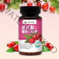 로즈힙 엘라스틴 정 500mg 100정 HACCP 인증제품, 1개, 500mg x 100정