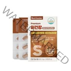 위에좋은영양제 위건강 영양제 기능성 소화 불량 위장 장애 잦은트림 만성위염 위장건강 속쓰림 헬리코박터균 케어 영양제