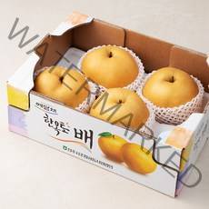 예담채 한옥토 전주 배 4~7입, 3kg