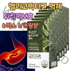 식약처 인증 위점막 보호 위건강 헬리코박터균 증식 억제 스페인 감초 추출물 발효양배추 서양민들레 분말 위 케어 개선 에좋은 위장 영양 제 케어 건강기능식품 기능성 약국, 6개