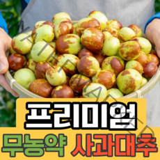 [무농약 특상품] 고당도 생 사과대추 왕대추 대왕대추 햇 생과 1박스 1kg 2kg, 무농약 사과대추 (특상) 1kg