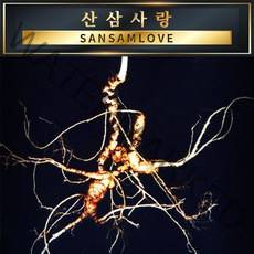 산삼사랑 파삼100g 산양삼 장뇌삼 산양산삼 6-15년근 10 50뿌리 천종 자연산산삼러브