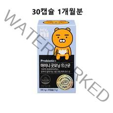 구아검가수분해물가루 프리바이오틱스 캡슐 구아콩 프리바이오틱스 효능 알약 대용량 국내 식약처 건강기능식품, 1개X30개