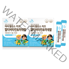 데이라이프 아이 밸런스 멀티비타민 앤 미네랄, 33포, 2개