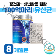 30대 회사원 직장인 유산균 100억 프로바이오틱스 혼합 유상균 프락토 올리고당 비피도 박테리움 롱검 비피덤 알루 알루 포장 예민한 장 건강 도움 유해균 억제 홈쇼핑 영양제 비교, 8 개월분, 500mg x 60캡슐 (하루 1캡슐)