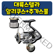 대륙스텔라 알리쿠스+보조스풀 스피닝릴 대륙의실수라 불리는 릴, 실버, 6000번