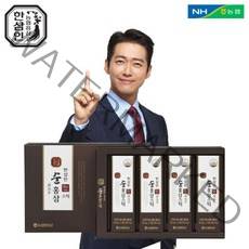 [오늘출발][농협홍삼 한삼인]순홍삼스틱10mlx28포+쇼핑백, 순홍삼 스틱 1박스