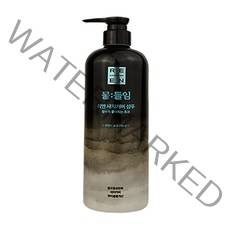 리엔 물들임 새치커버 샴푸 550ml 대용량 (자연갈색), 리엔 물들임 새치커버 샴푸 550m