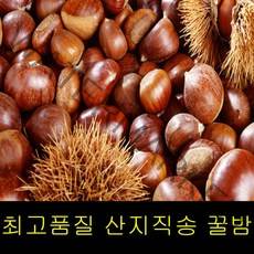 고씨네 특급 햇밤 군밤 맛밤 2KG 공주햇밤 밤 밤효능, 특급 햇밤 2kg
