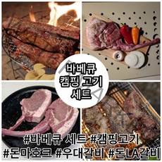 캠핑 돈마호크 세트 뼈등심 우대갈비 돈 la갈비 바베큐 스테이크 프렌치렉 밀키트, 가족 실속 캠핑 세트(3~4인용)