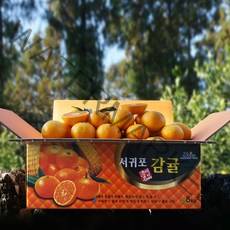 귤담원 제주 제철 감귤, 1박스, 12.감귤 10kg 로얄과(S/M)