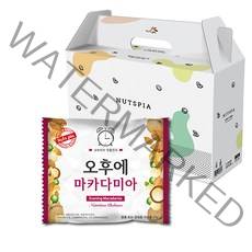 넛츠피아 오후에 마카다미아 하루견과 선물세트, 20g, 50개입