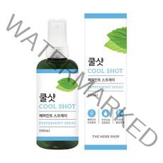 더허브샵 쿨샷 스프레이 페퍼민트향, 100ml, 1개