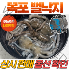 [당일신선생물] 목포 뻘낙지 10마리 세발낙지 소낙지 중소낙지 멍발낙지 국내산 서남해안 갯벌 낙지 산소포장 살아서 도착, 세발낙지 10마리