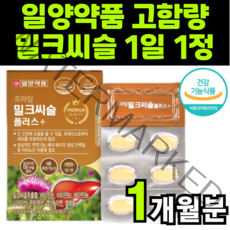 고함량 밀크티슬 밀크씨유 SILYMARIN complex MILKTHISTLE EXTRACT 밀크시술 실리마린 비타민b 피곤할때 피로회복 영양제 가시 엉겅퀴 하루 1알 일양약품, 1박스(1개월분)