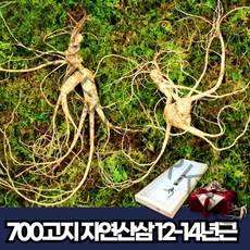 봉화자연산삼 12-14년근 2뿌리 자연산산삼 야생자연삼