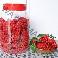 해마을 2022 문경오미자효소 오미자당절임, 1개, 10kg (세척오미자5kg+설탕5kg)