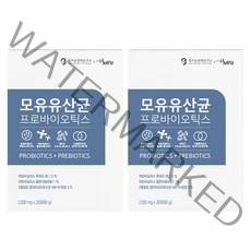 셀핏 모유 유산균 프로바이오틱스, 60g, 2개
