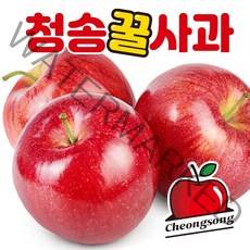 아삭 상큼 달콤 경북 청송 꿀 사과 햇 부사 홍로 가정용 못난이 실속형 흠집 과일 선물세트 정품 중과 대과 5kg 10kg, 1. 청송사과 5kg (23~24과)