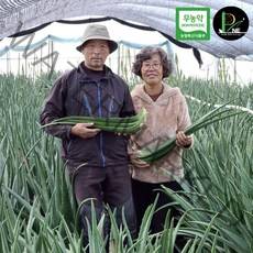 무농약 식용 생 잎 알로에 베라 거제피네농장 2kg 3kg 5kg 10kg 면역력 먹는 생알로에