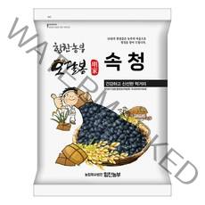 힘찬농부오달봉 2021년산 햇곡 국산 속청 검은콩 국내산 서리태, 1포, 국산 속청 1kg