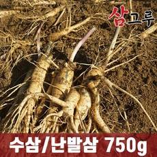 금산인삼 5년근 6년근 수삼 난발삼 원수삼 세척무료 750g 1채, 1.일반- 난발 소 750g 14~20뿌리