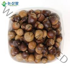 22년 햇 국산 상수리 열매 1kg 도토리, 상수리도토리1kg