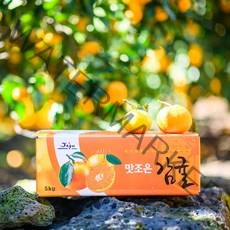 [제주땡큐베리팜] 농장직송 햇 노지감귤 4.5kg 9kg ( 2S/S/M/L ), 1세트, 감귤 4.5kg(로얄과 S/M)