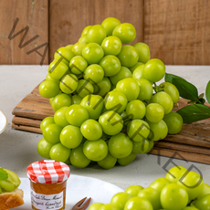 더자인 경산 에어포장 샤인머스켓 상 1Kg (2-3수), 1kg(2-3수), 1박스