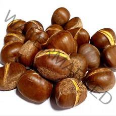 햇생율밤 칼집O 1KG 밤삶는법 군밤 밤 밤효능 약단밤, 햇생율밤 1KG 칼집O