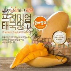 태국망고 항공직송 바로배송 프리미엄 선물세트, 태국망고 L 4개 [1.65kg]