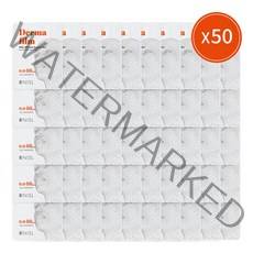 니슬 링클 더마 필름 아이팔자주름 케어 패치 50장, 단품