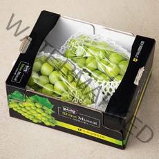 모서랑 농협 GAP 인증 샤인머스켓, 1.5kg, 1박스