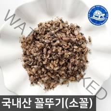 장수왕 국내산 꼴뚜기(소꼴)300g 건꼴뚜기 반찬 중부시장도매, 1봉, 300g