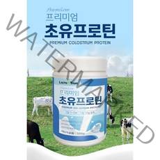 프리미엄 초유단백질 분리대두단백질분말 농축유청단백질분말 보충제 500g
