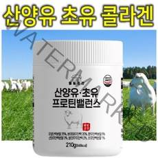 프리미엄 네덜란드 고단백 산양유 초유 콜라겐 대두 완두 동물성 식물성 어르신 시니어 근육 할아버지 할머니 헬스 운동 단백질 보충제 분말 가루 식사대용 파우더 쉐이크 밸런스 210g