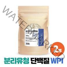 분리유청 단백질 WPI 99% 분리유청단백 고순도 단백분말, 2팩, WPI 500g