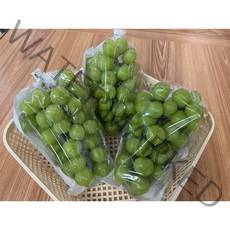 [당일경매 배송] 샤인머스켓 (Shine muscat) 2 / 4kg, (특1등급) 샤인머스켓 2kg 3-4수