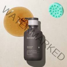 인셀덤 보타랩 샴푸 + 두피브러쉬, 보타랩 샴푸 500ml + 두피브러쉬