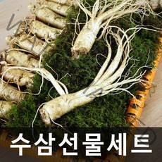 청명네이처 금산인삼 수삼선물세트(중)(750g)(10~12뿌리), 1개, 750g