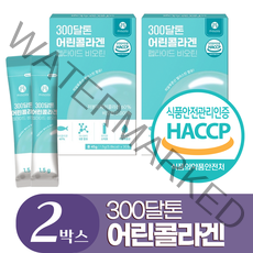 저분자 어린콜라겐 식약청인증 피쉬 콜라겐 300달톤 분말 엘라스틴 히알루론산 비오틴, 2개