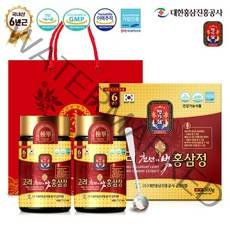 대한홍삼진흥공사 고려천년의빛 홍삼정 + 쇼핑백, 250g, 2개입