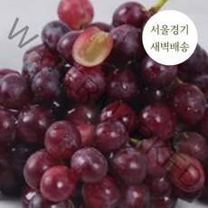 한정판매 새벽배송 당일배송 캔디포도 2kg 4kg 프리미엄 초고당도 과일 제철과일, 인기만점 캔디포도 2kg