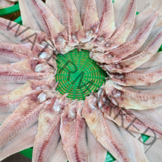 반건조옥돔 10마리 중 (230g~260g이내) 옥두어 제주도 동문시장 한일농수산, 반건조옥돔 (230g~260g이내) 10마리