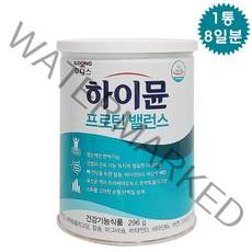 일동후디스 하이뮨 프로틴 밸런스 단백질 파우더 건강기능식품 스푼증정, 1캔, 304g