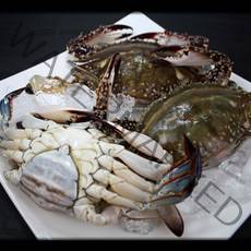 연평도 당일조업 가을 활꽃게 제철 생물 숫꽃게 간장게장, 활꽃게 1kg(4-6미)