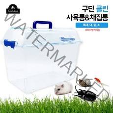 구딘 클린 투명 사육통&채집통, 구딘 클린 투명 사육통 채집통 소 19.5*12.5*14.5Cm