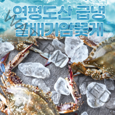 [당일출고] 연평꽃게 급냉꽃게 당일조업 당일급냉 알배기 암꽃게, 급냉 숫꽃게2kg