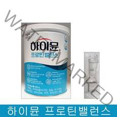 일동후디스 하이뮨 프로틴 밸런스 단백질 파우더 건강기능식품 스푼증정, 304g, 1캔